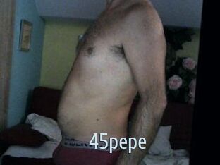 45pepe Ta Model