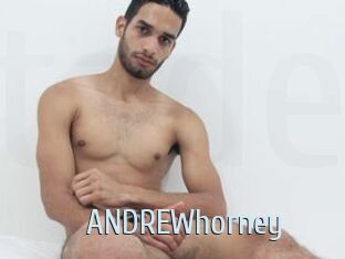 ANDREWhorney