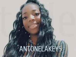 ANTONELAKEYS