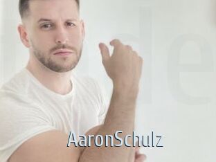 AaronSchulz