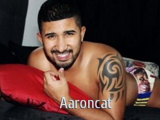 Aaroncat