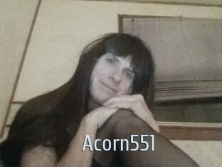 Acorn551