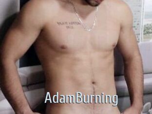 AdamBurning