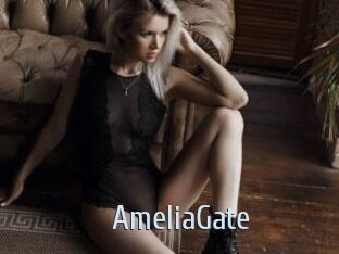 AmeliaGate
