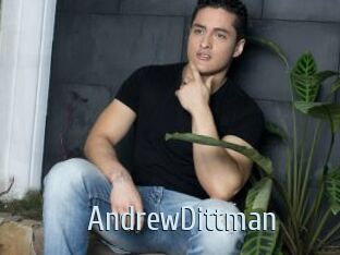 AndrewDittman Ta Model