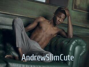 AndrewSlimCute