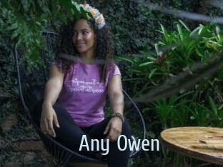 Any_Owen