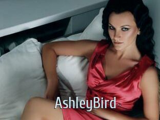 AshleyBird