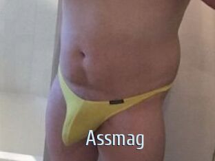 Assmag Ta Model