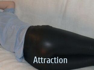 Attraction Ta Model