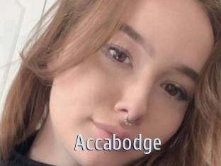 Accabodge