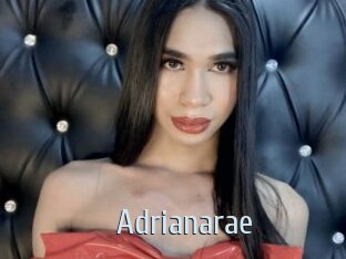 Adrianarae