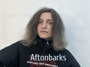 Aftonbarks