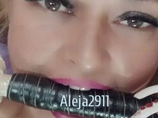 Aleja2911