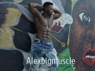 Alexbigmuscle