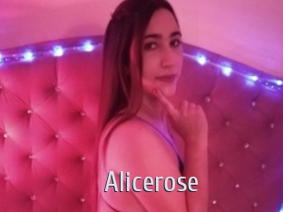 Alicerose