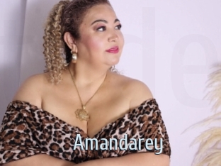 amandarey Ta Model
