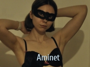 Aminet