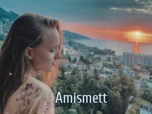 Amismett