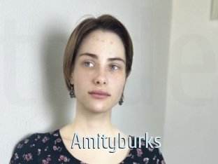 Amityburks