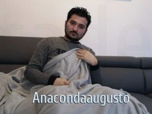 Anacondaaugusto