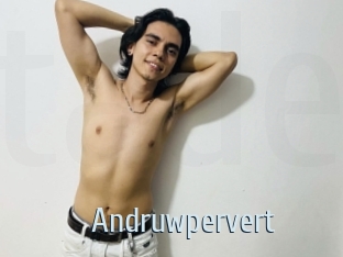 Andruwpervert