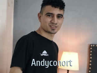 Andyconort