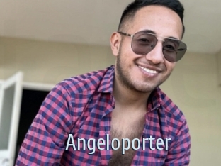 Angeloporter