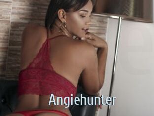 Angiehunter