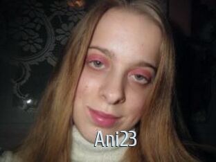 Ani23