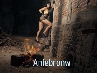 Aniebronw