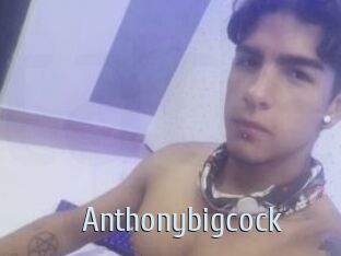 Anthonybigcock