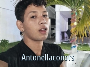 Antonellaconors