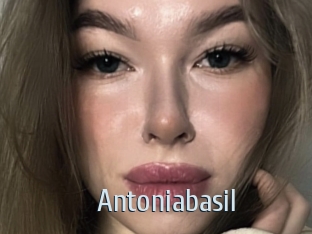 Antoniabasil