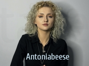 Antoniabeese