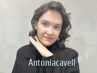 Antoniacavell