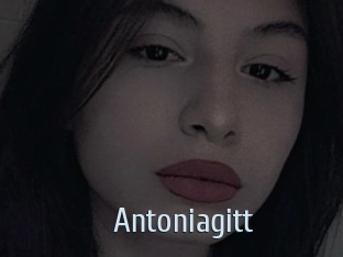 Antoniagitt