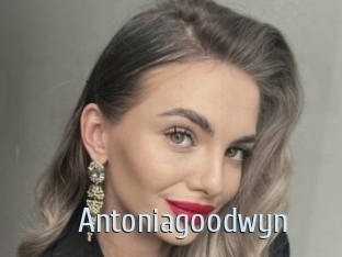 Antoniagoodwyn