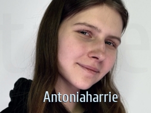antoniaharrie Ta Model
