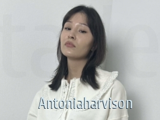 Antoniaharvison