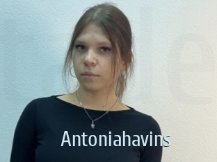 antoniahavins Ta Model