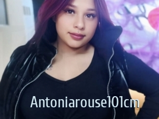 Antoniarouse101cm