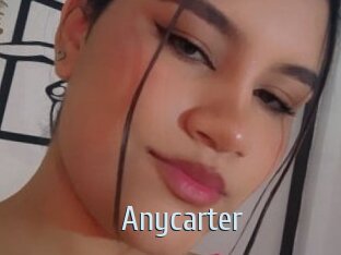 Anycarter