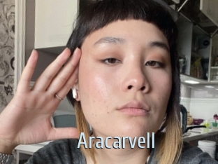 Aracarvell