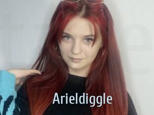 Arieldiggle