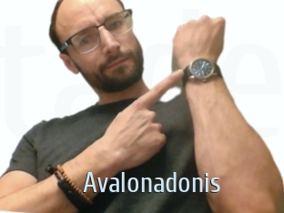 Avalonadonis