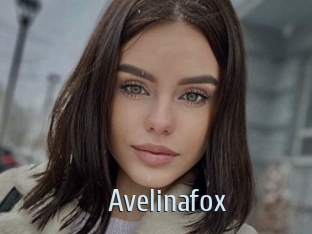 Avelinafox