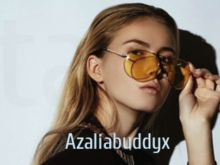 Azaliabuddyx