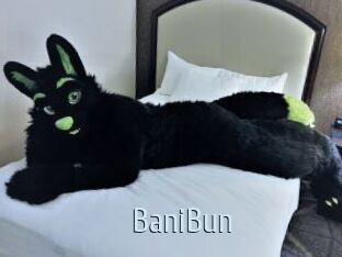 BaniBun