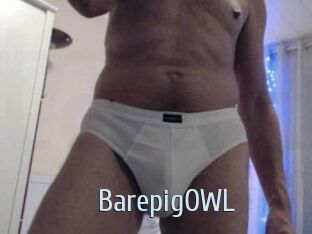 BarepigOWL Ta Model